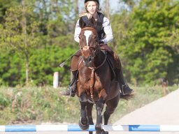IMG_0676_web